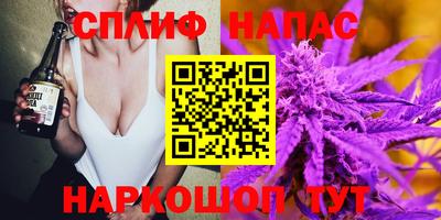 стаф Белореченск