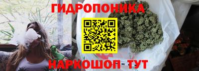 прущие грибы Братск
