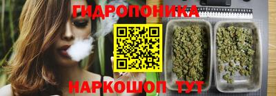 трава Бердск