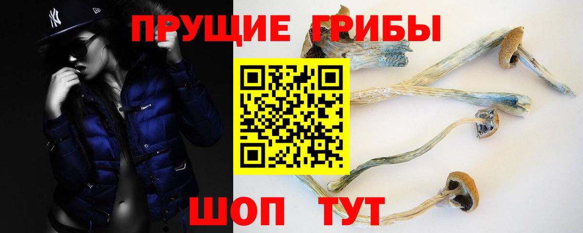 Галлюциногенные грибы GOLDEN TEACHER  Вход с VPN  Кстово 